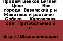 Продам щенков Биглей › Цена ­ 15 000 - Все города, Вяземский р-н Животные и растения » Собаки   . Курганская обл.,Притобольный р-н